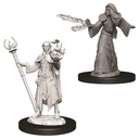 D&D Nolzur’s Marvelous Miniatures: Male Elf Wizard
