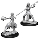 D&D Nolzur’s Marvelous Miniatures: Female Half-Elf Monk