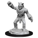 D&D Nolzur’s Marvelous Miniatures: Stone Golem 