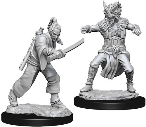 [73670] D&D Nolzur's Marvelous Miniatures - Human Monk Male