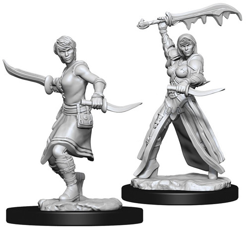 [73831] D&D Nolzur’s Marvelous Miniatures: Female Human Rogue