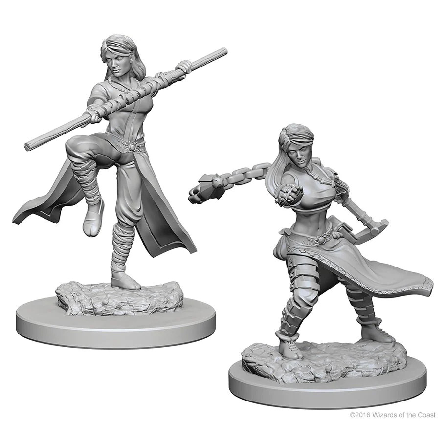 [72634] D&D Nolzur’s Marvelous Miniatures: Human Female Monk