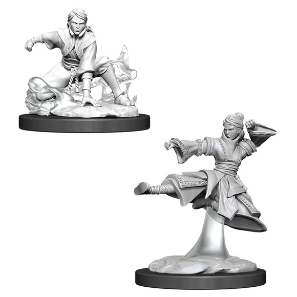 [90008] D&D Nolzur’s Marvelous Miniatures: Female Human Monk