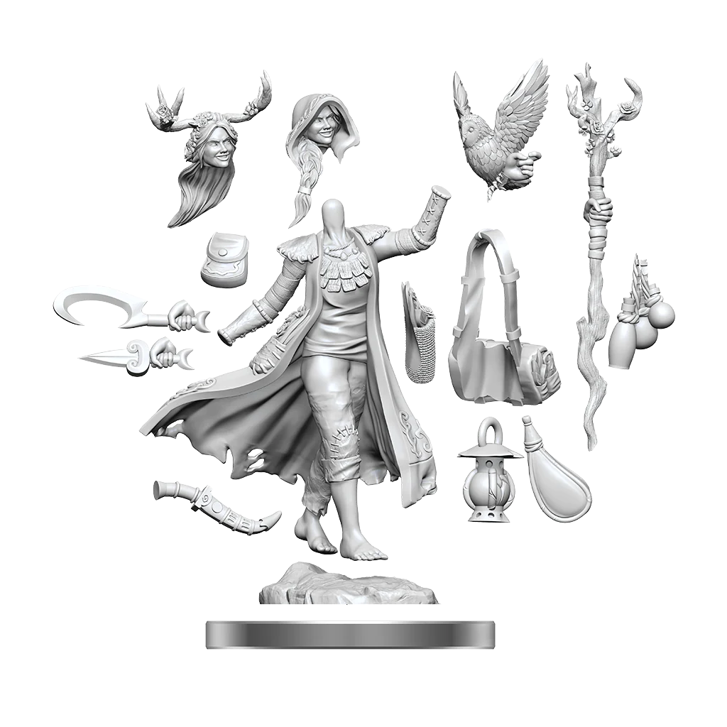 [75012] D&D Frameworks: Human Druid Female