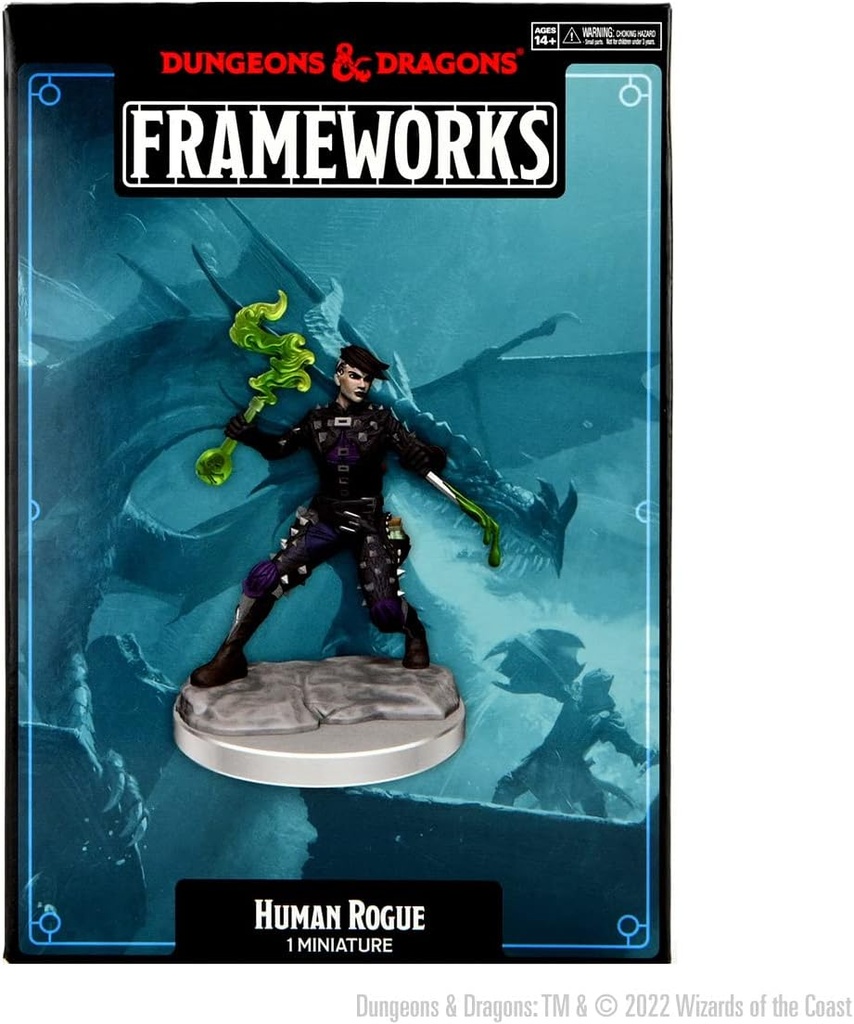 [75038] D&D Frameworks: Human Rogue Female