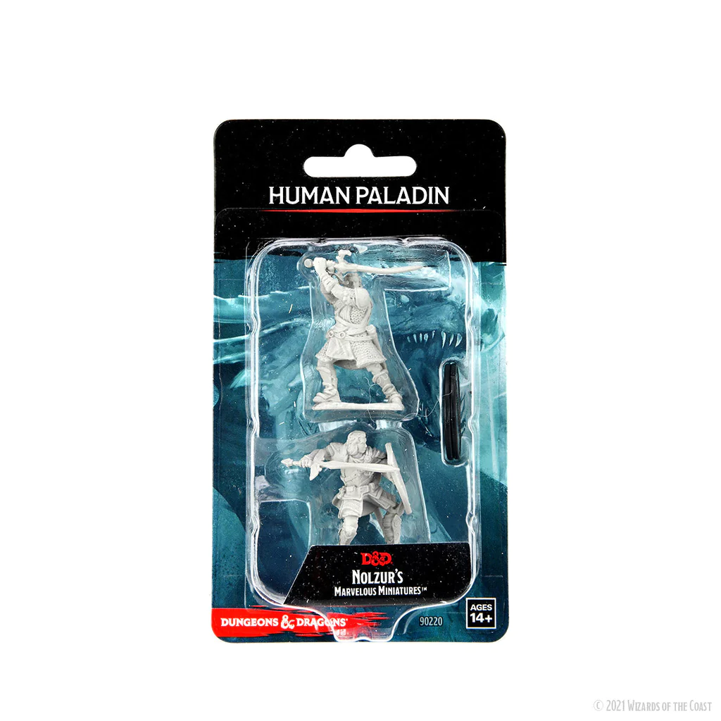 [90220] D&D Nolzur's Marvelous Miniatures: Human Paladin Male 1