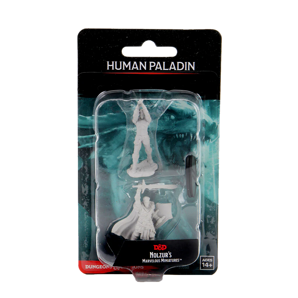 [90060] D&D Nolzur's Marvelous Miniatures: Human Paladin Male 2