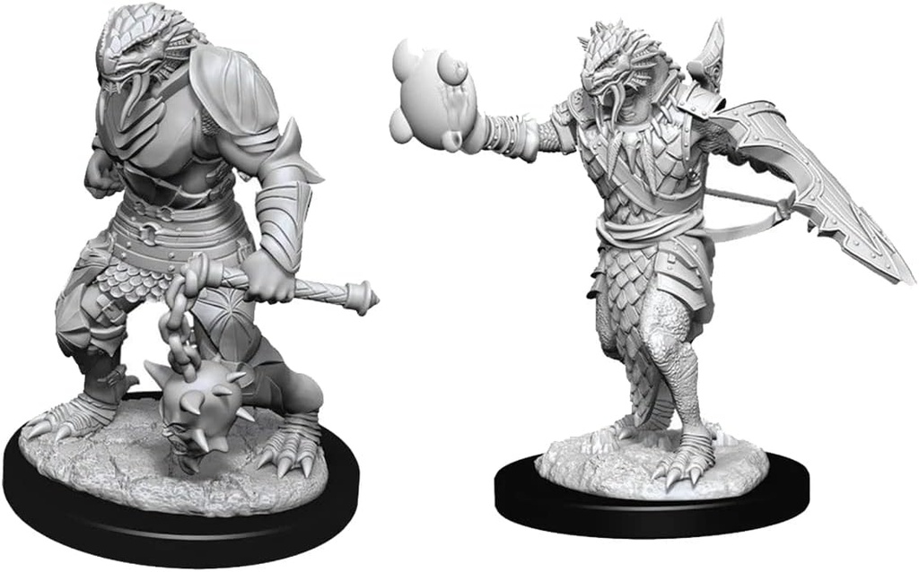[90057] D&D Nolzur's Marvelous Miniatures: Dragonborn Paladin Male